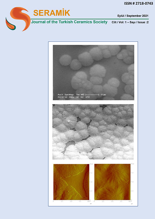 Cilt: 1 Sayı: 2